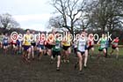 Senior mens Northern Cross Country, Knowsley Safari Park. Photo: David T. Hewitson/Sports for All Pics